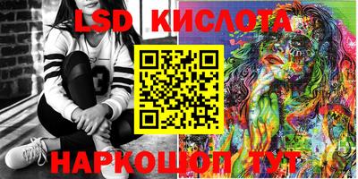 крисы Камышлов