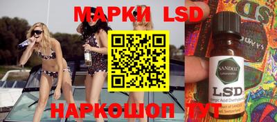 крисы Камышлов