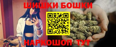 крисы Камышлов