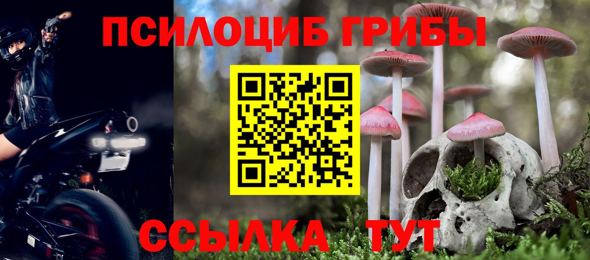 Псилоцибиновые грибы GOLDEN TEACHER  Вход с VPN  Кушва 
