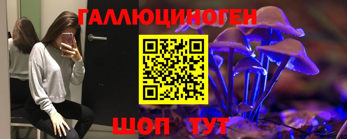 Галлюциногенные грибы Psilocybe Кушва